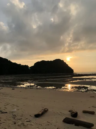 Jungle Trek Phi Phi Islands