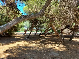Promenade Porto Sant'Elpidio