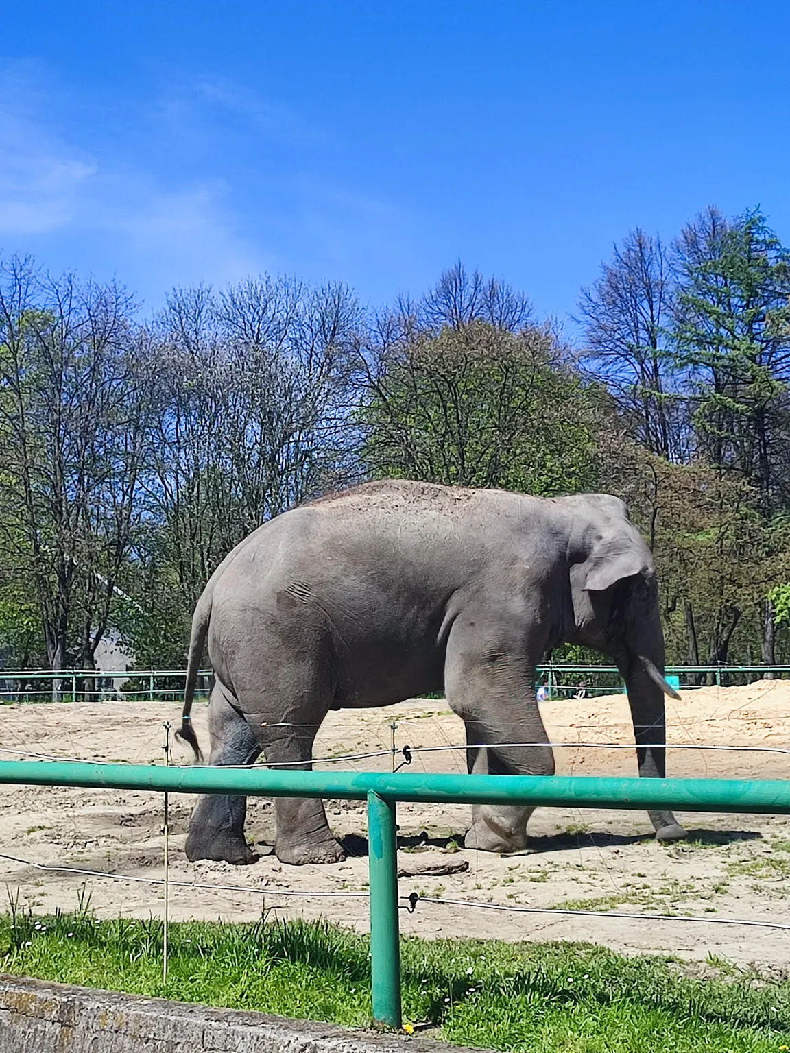 Śląski Ogród Zoologiczny
