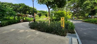 Bedok Reservoir Park Therapeutic Garden