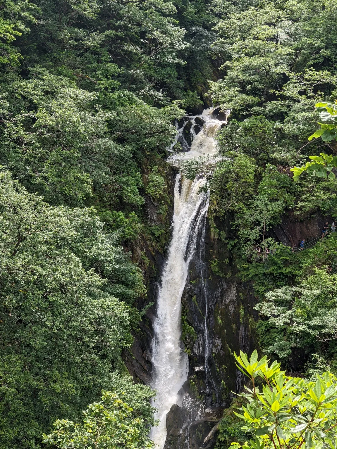 Devil's Bridge Waterfalls