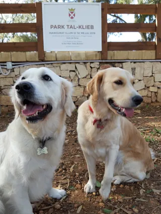 Żabbar Dog Park