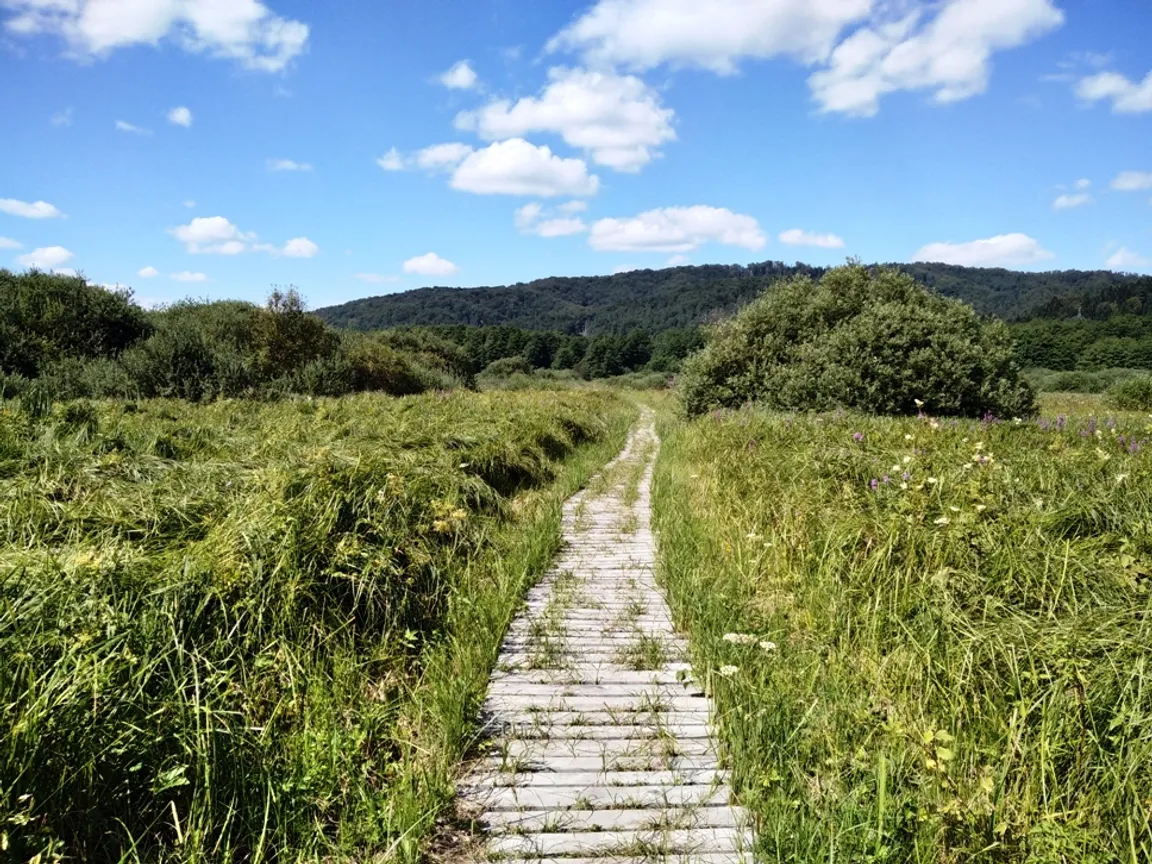 Ścieżka Przyrodniczo-Edukacyjna
