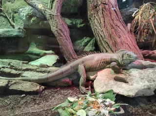 Ogród Zoologiczny w Bydgoszczy