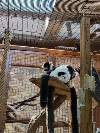 Ogród Zoobotaniczny w Toruniu