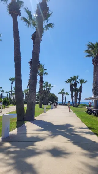 Walk by the sea