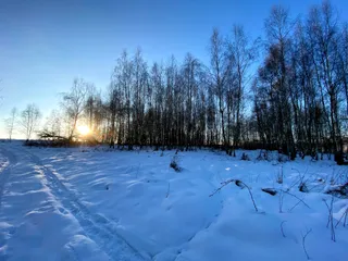 Szczeciński Park Krajobrazowy Puszcza Bukowa