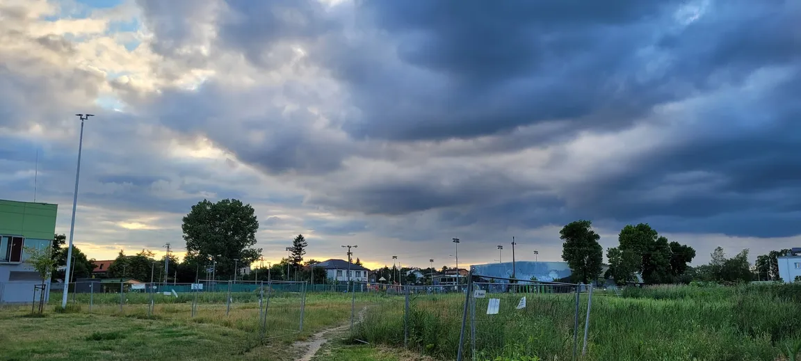 Psie Pole Wybieg Dla Psów