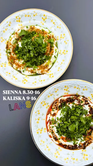 LANS_Kaliska20
