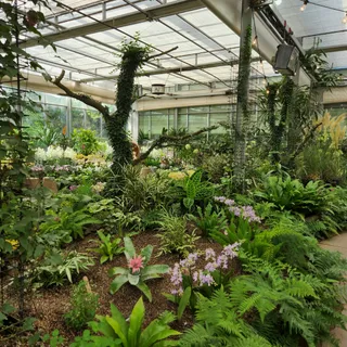 Camellia Hill Botanical Garden
