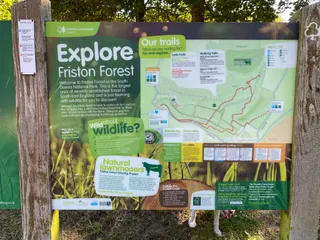 Friston Forest