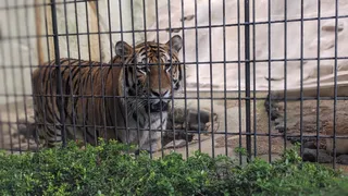 Fukuoka Zoo and Botanical Garden