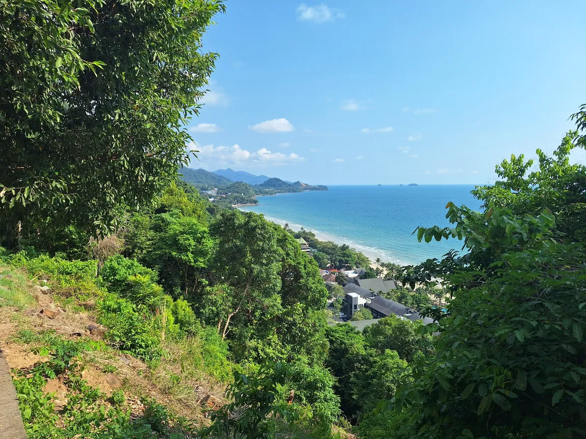 View point