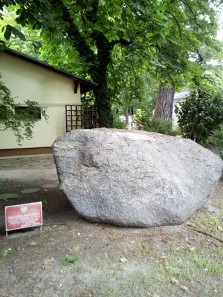 Pomnik Przyrody - Głaz Narzutowy