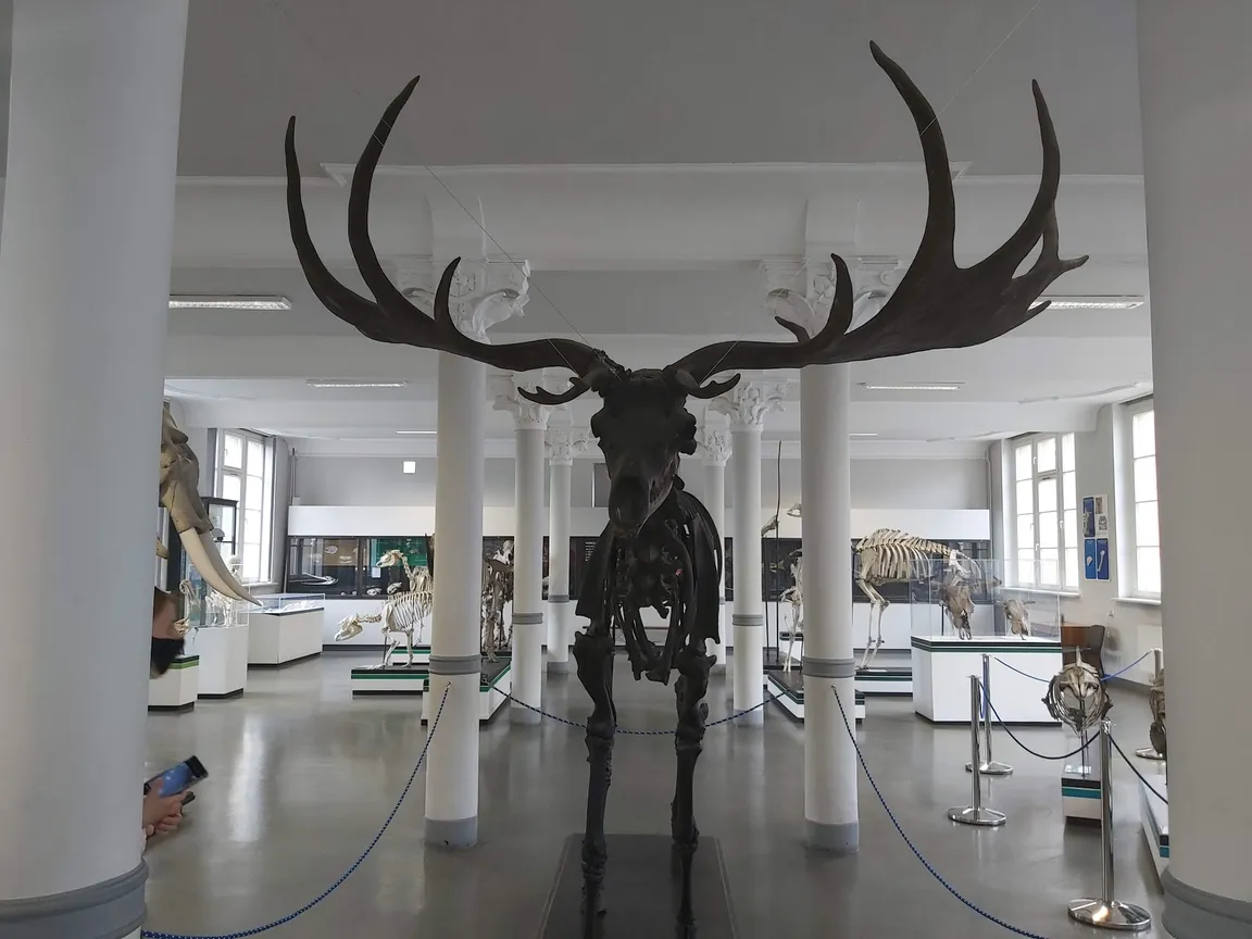 Muzeum Przyrodnicze