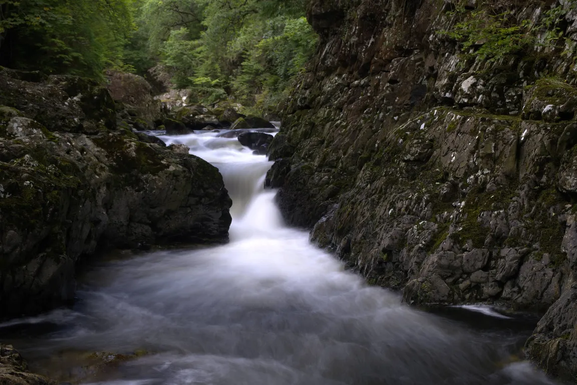Gwydir Forest Park