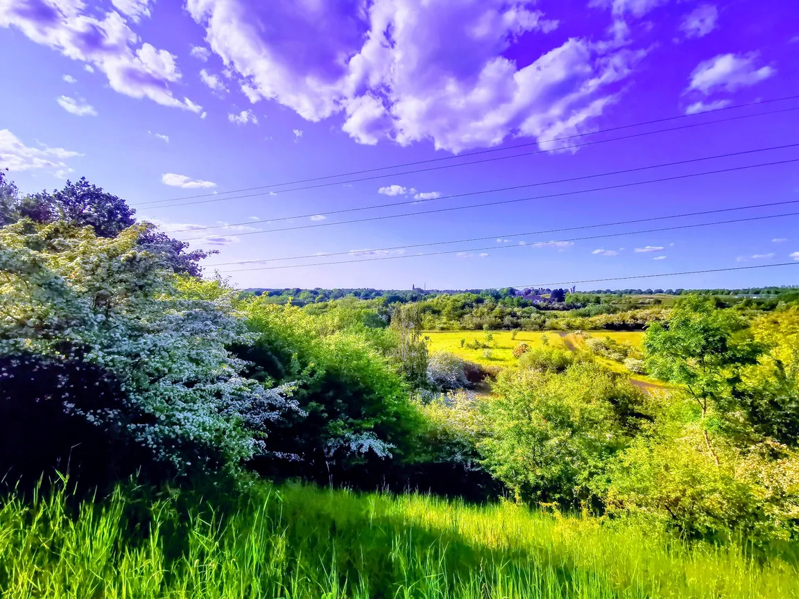 Hedeland Naturtrail