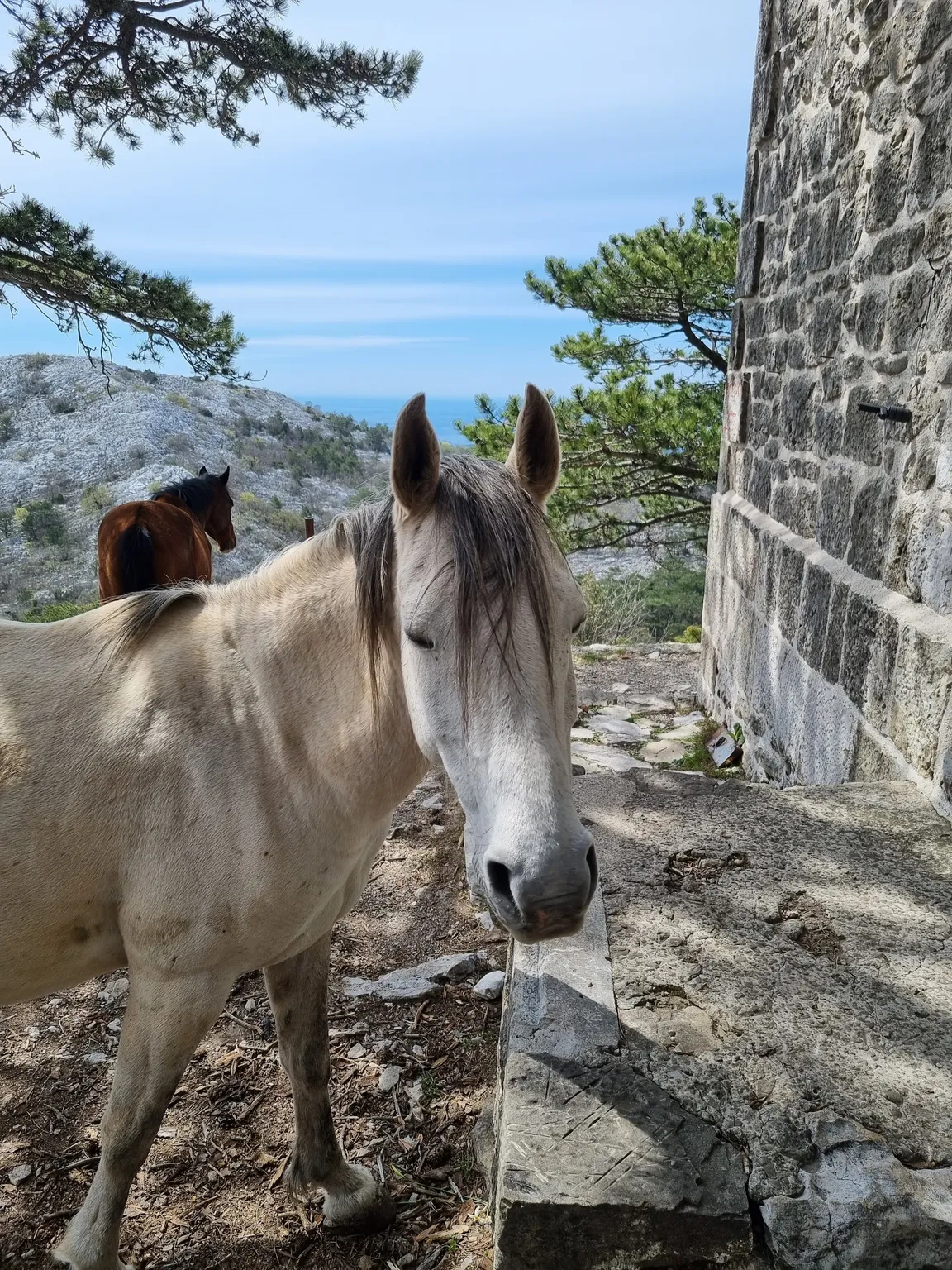 Sveti Ilija Peak Trailhead