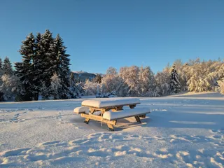 Lavollen