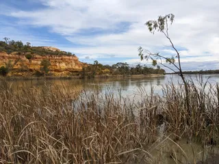 Murray River National Park