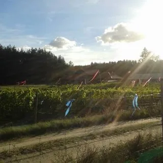 Winnica Żabi Raj