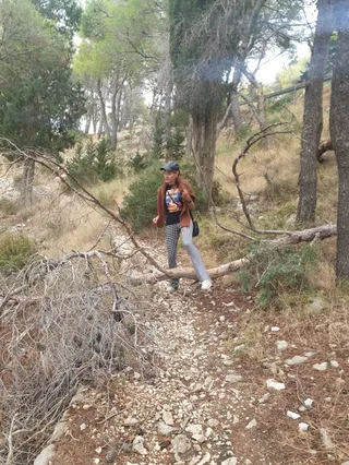Hike Trail