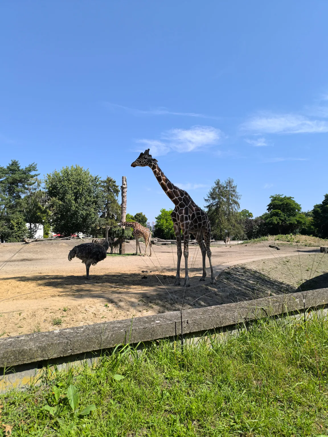 ZOO Wrocław sp.z o.o.