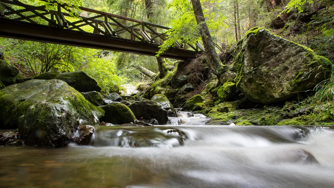Ravenna Gorge