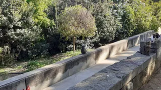 Acropolis Park
