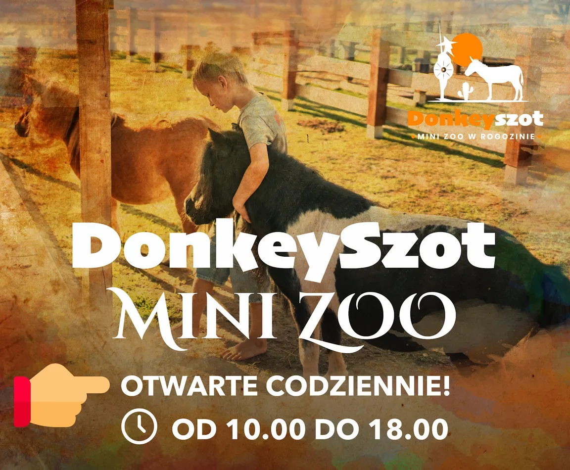 DonkeySzot - Mini Zoo i Alpaki
