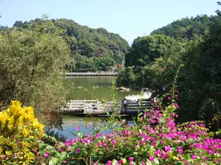 Maofeng Mountain