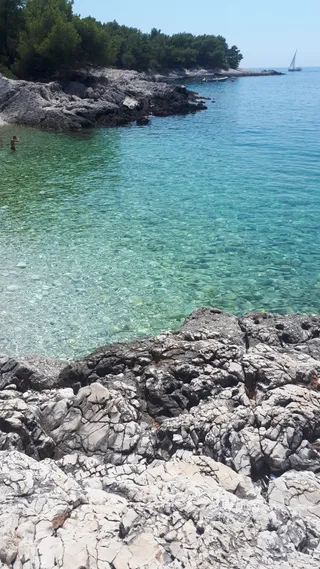 Beach Robinson