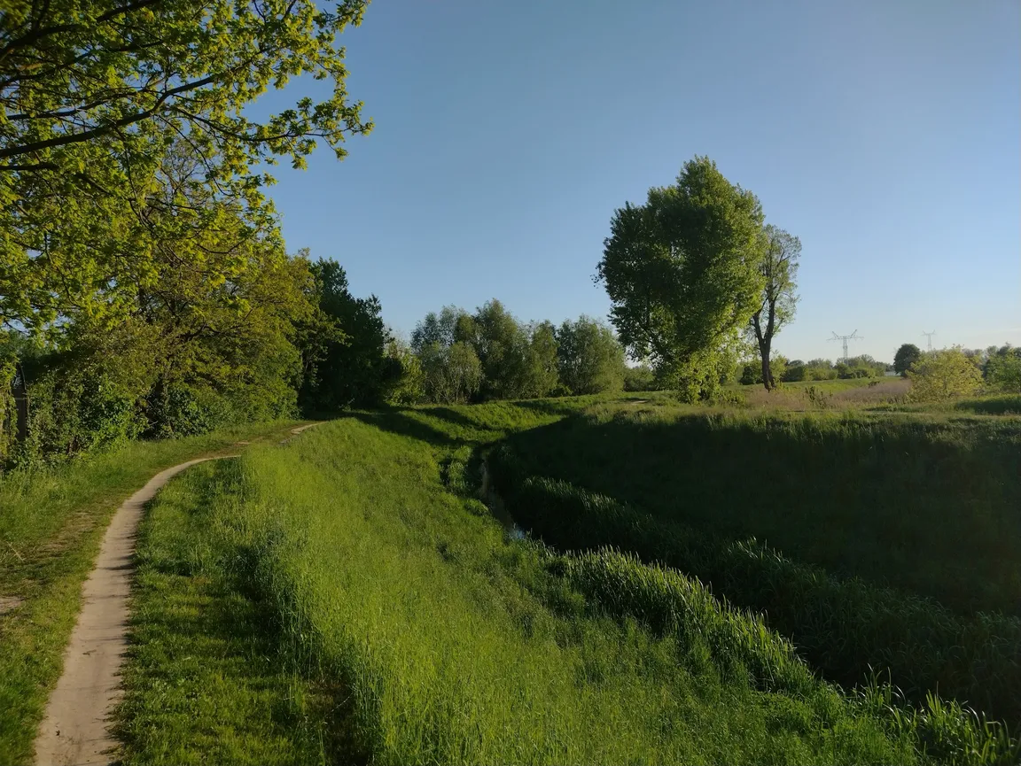 Pluszakolandia