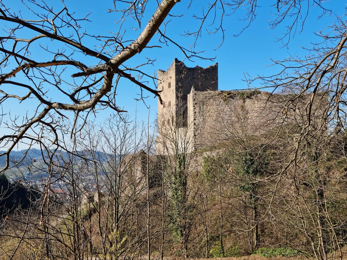 Ruine Schauenburg