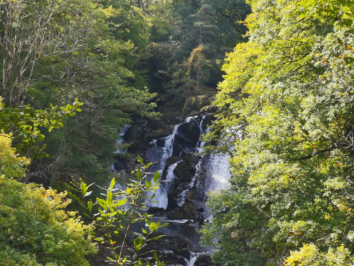 Ty'n Llwyn Walking Trail