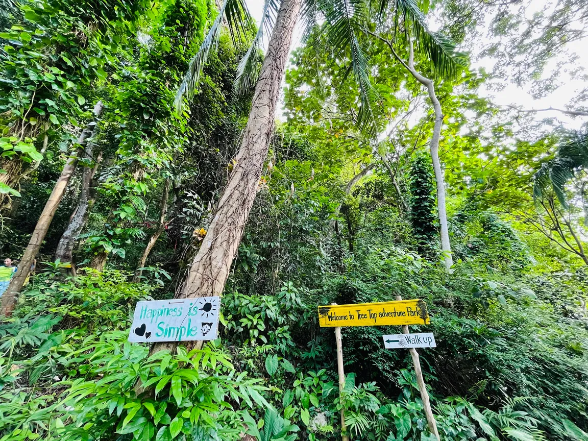 Tree Top Adventure Park Koh Chang