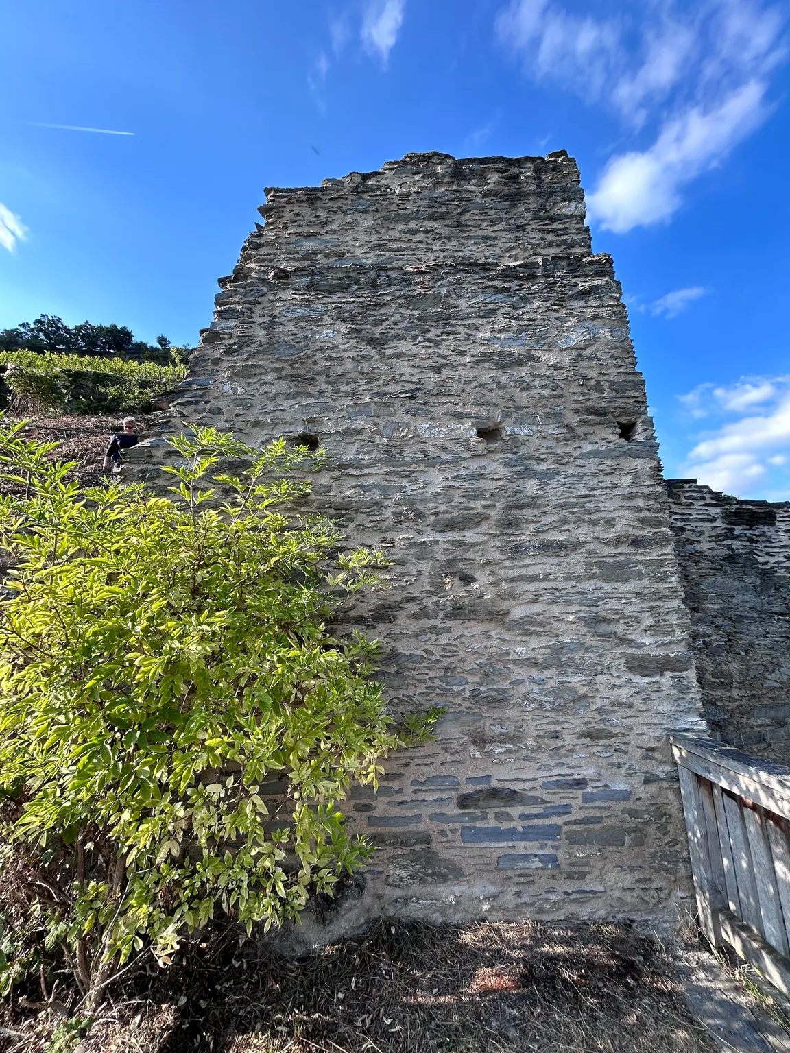 Spitzer Turm