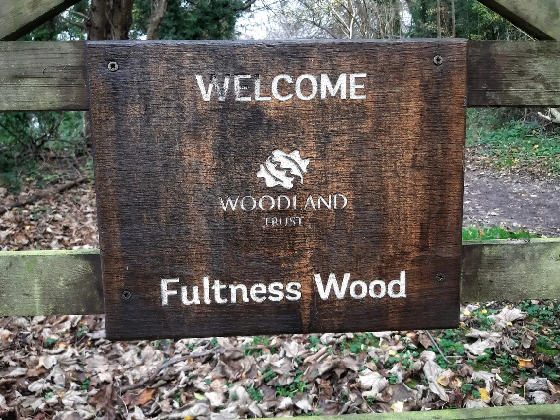 Bisham Woods