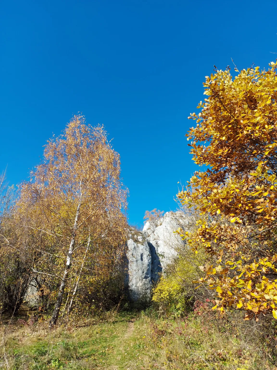 Słoneczne skały