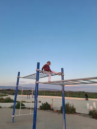 Calisthenics workout