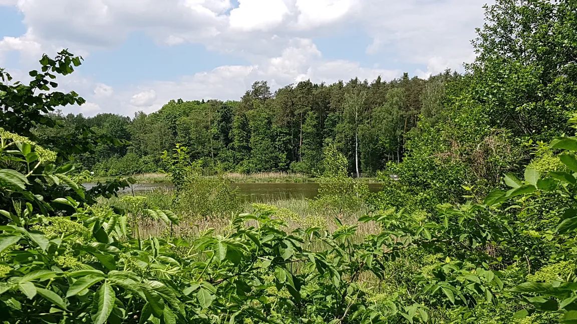 Ścieżka przyrodnicza "Bobrówka"