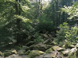Felsenmeer