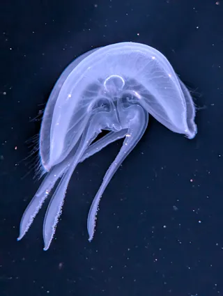 Kyoto Aquarium