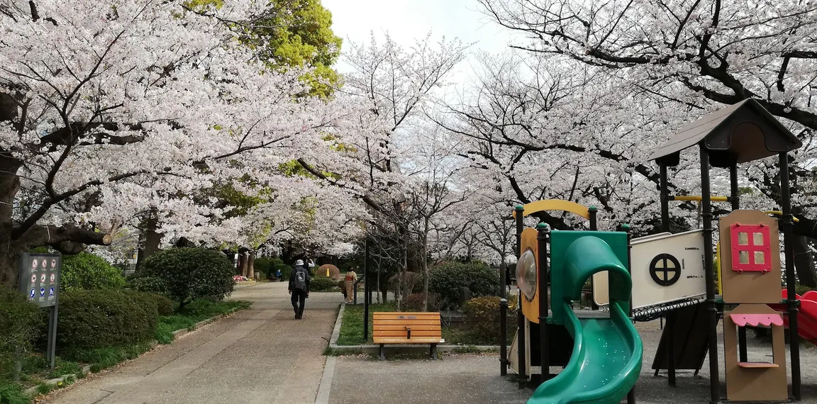 Hanzōmon Kids Pond