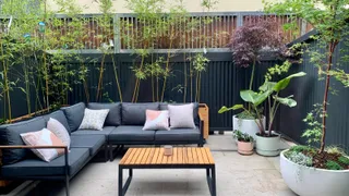 Hello Hello Plants & Garden Supplies