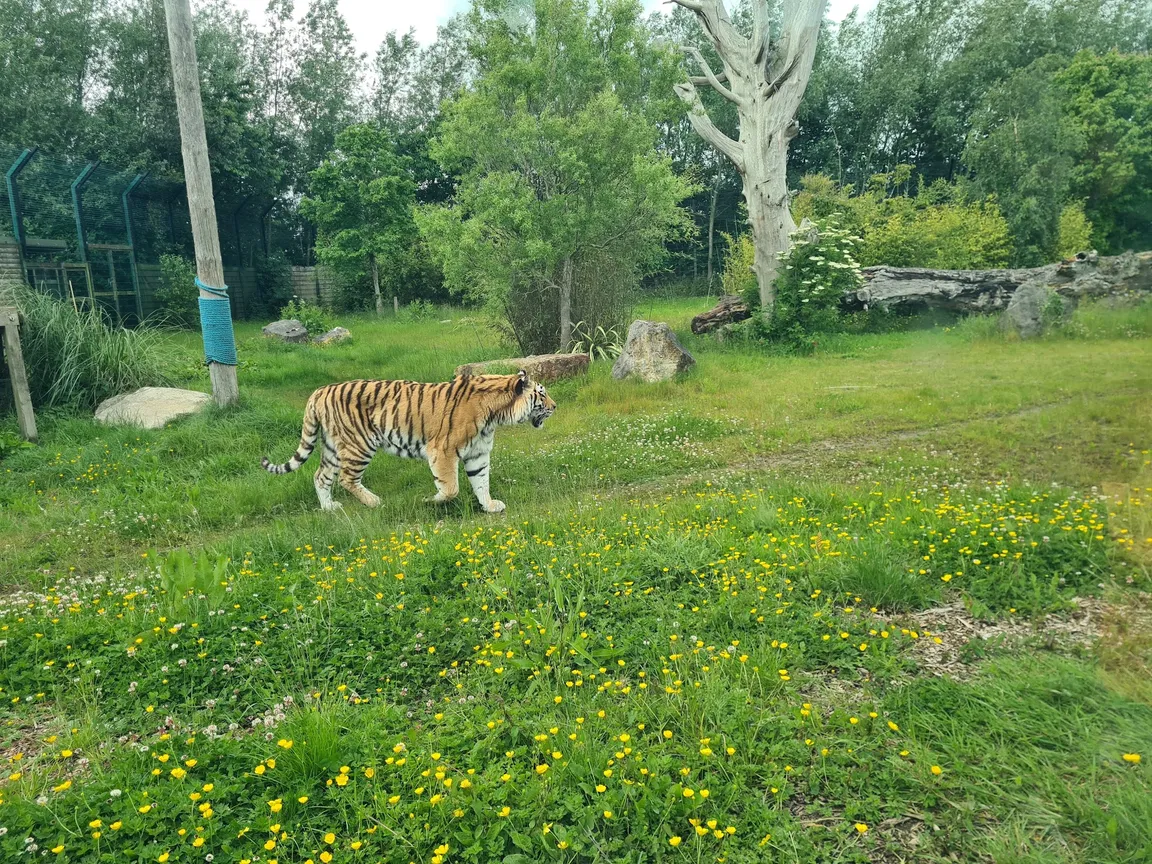 Emerald Park
