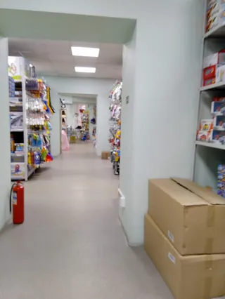 The world of toys