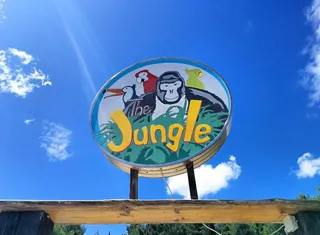 The Jungle