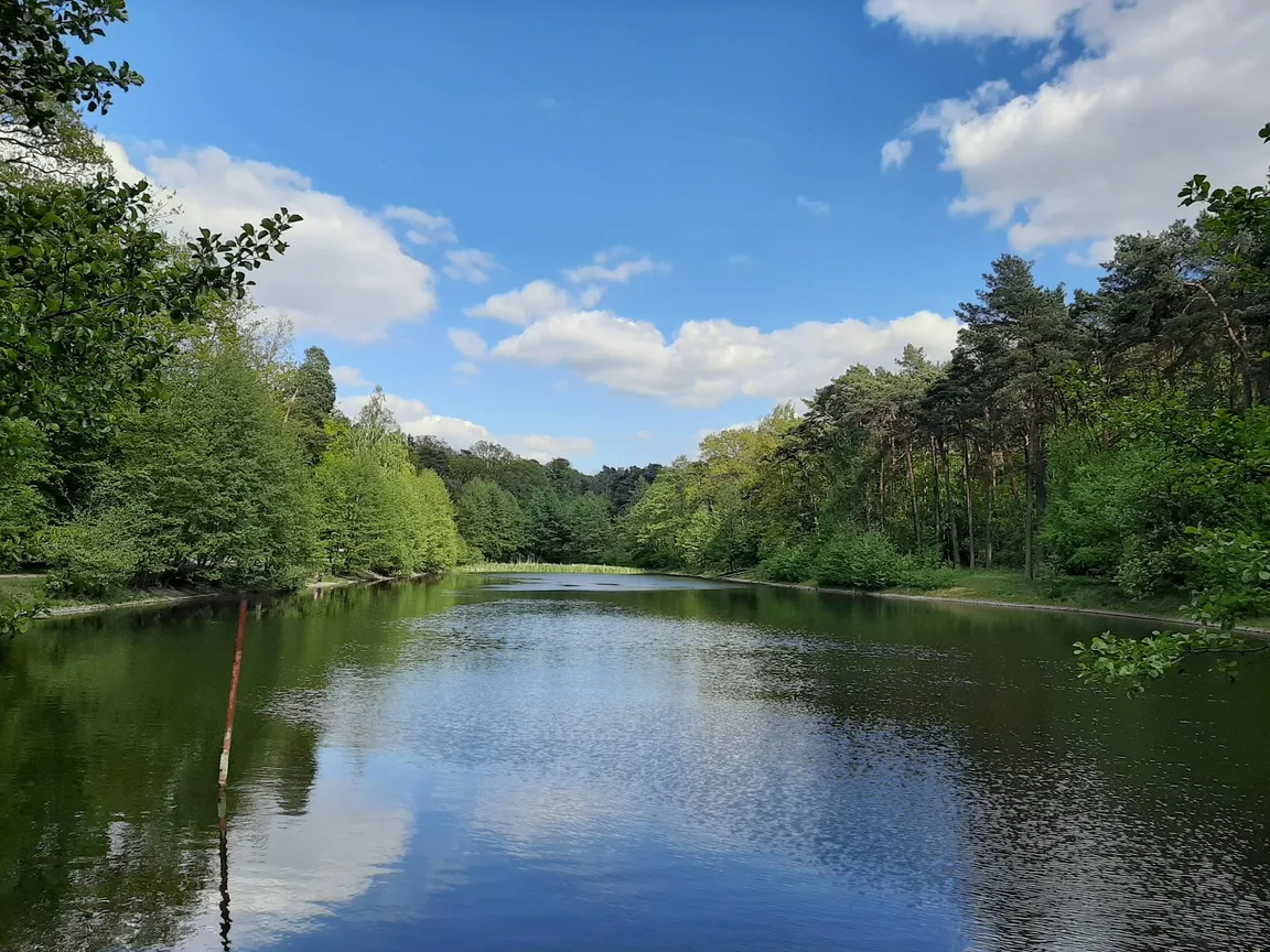 Rezerwat Przyrody Las Łagiewnicki
