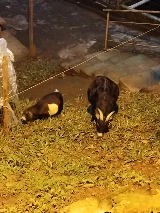 My Zoo De Rivera Uruguay